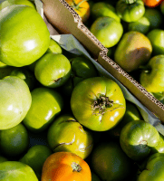 Tomatoes in a box